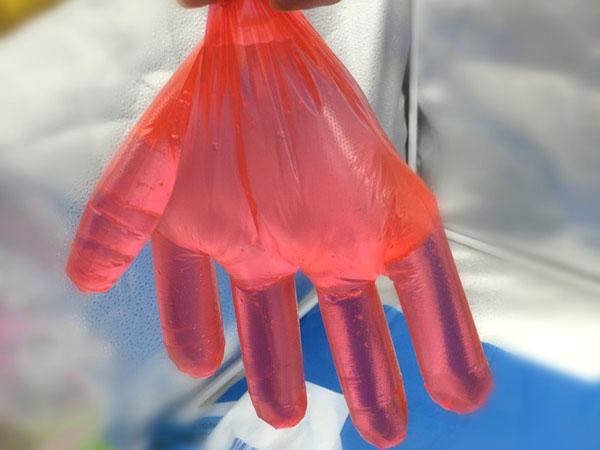  产品展示 一次性pe手套   品牌 日照鲁康塑料制品  型号 pe手套